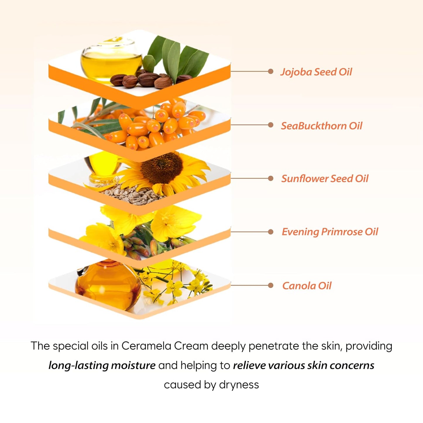 Papaya Ceramela Moisturizer Cream 1.69 fl.oz